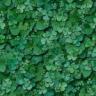 background: Micro Leaves