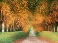 background: autumn in Germany